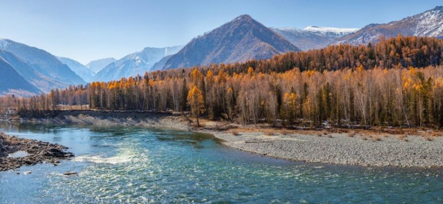 Катунь